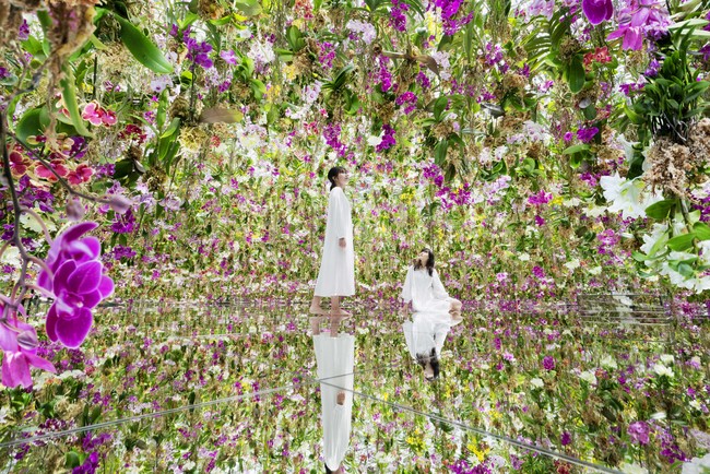 チームラボプラネッツ（東京・豊洲）に、京都発のヴィーガンラーメン、新たなアート空間、作品で使用したランを持ち帰ることができる花屋が10月8日にオープン。のサブ画像9