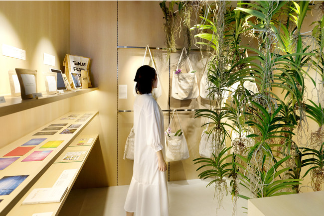 チームラボプラネッツ（東京・豊洲）に、京都発のヴィーガンラーメン店が本日10月8日オープン。新たなアート空間、作品で使用したランを持ち帰ることができる花屋も新設。のサブ画像10