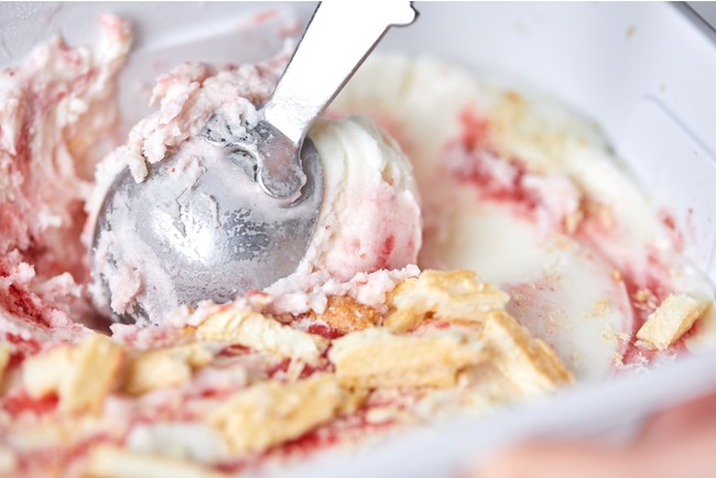 きび砂糖などのオーガニック材料にこだわった、プロテイン10g含有のアイスクリーム「リボンアイスクリーム」を新発売のサブ画像2