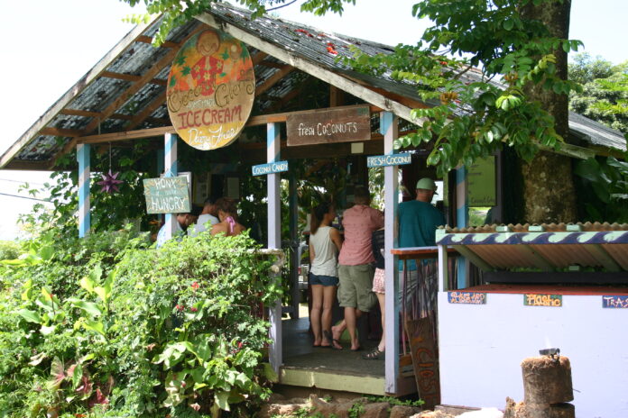 ミシュランシェフがジャングルの奥地で開発した秘密のレシピハワイ・マウイ島生まれのヴィーガンココナッツアイスクリーム店が南池袋にオープン！のメイン画像