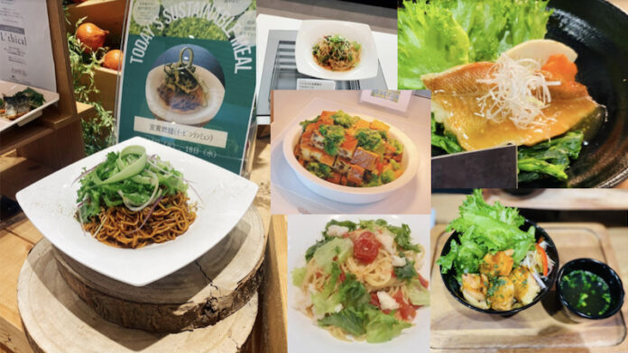 サステナブル野菜「ベジタス」× ONODERA GROUP 杉浦 仁志　セガサミーグループなどの大手社員食堂でサステナブルメニューを提供のメイン画像