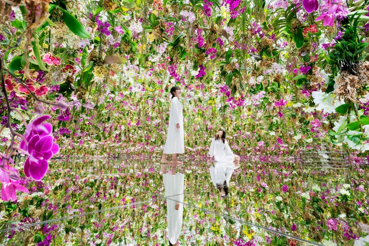 東京・豊洲のチームラボプラネッツ、花と一体化する庭園の作品《Floating Flower Garden》にて、世界にひとつしかない日本最大級のランを公開。のサブ画像2_チームラボ《Floating Flower Garden; 花と我と同根、庭と我と一体》©チームラボ
