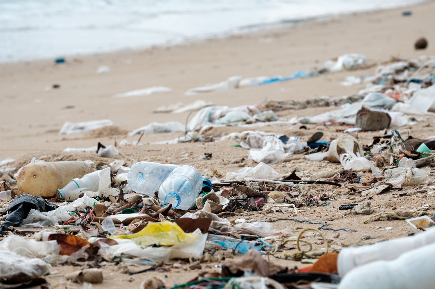 深刻化する海洋プラスチック問題に向き合う、「プラスチック不使用の固形ヴィーガンシャンプー」 MILESSE 新発売のサブ画像5