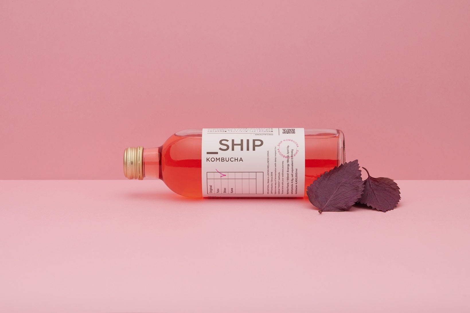 発酵スパークリングティー／コンブチャ「_SHIP」が「国際発酵・醸造食品産業展」に出展！のサブ画像5