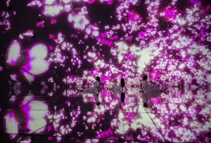 チームラボプラネッツ（東京・豊洲）、3月より【桜】が咲き渡る春限定の作品空間に。のメイン画像