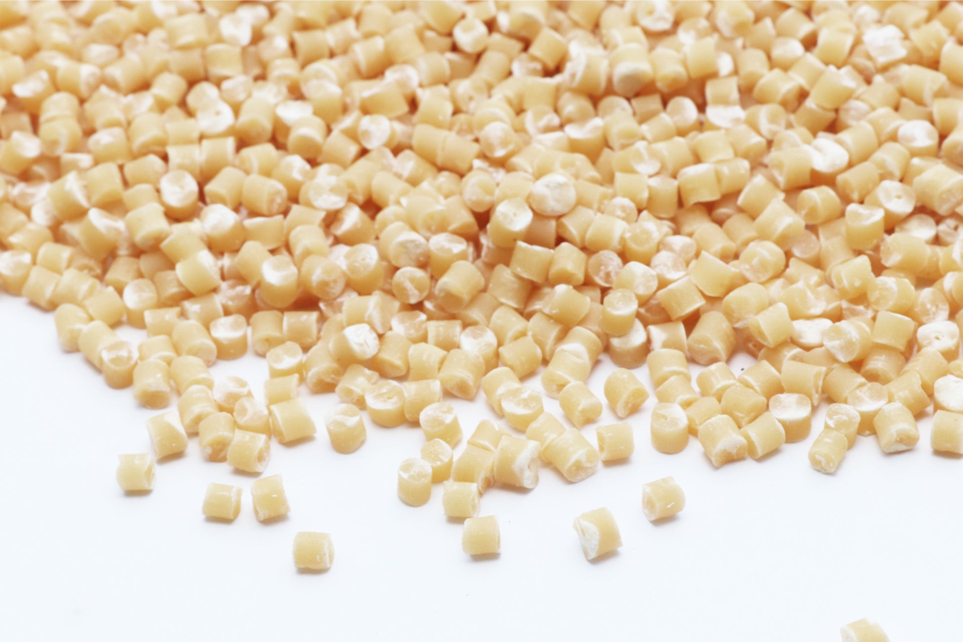 日本発、お米を用いた国産ヴィーガンレザー「Rice Leather™（ライスレザー）」にバイオマス素材「ライスレジン®︎」が採用されましたのサブ画像1