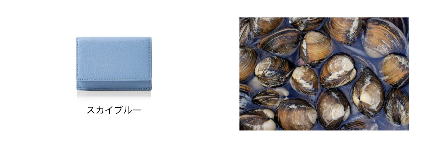 竹・りんご・貝殻を素材に使用したヴィーガンレザーのコンパクト財布「IVY」のサブ画像9