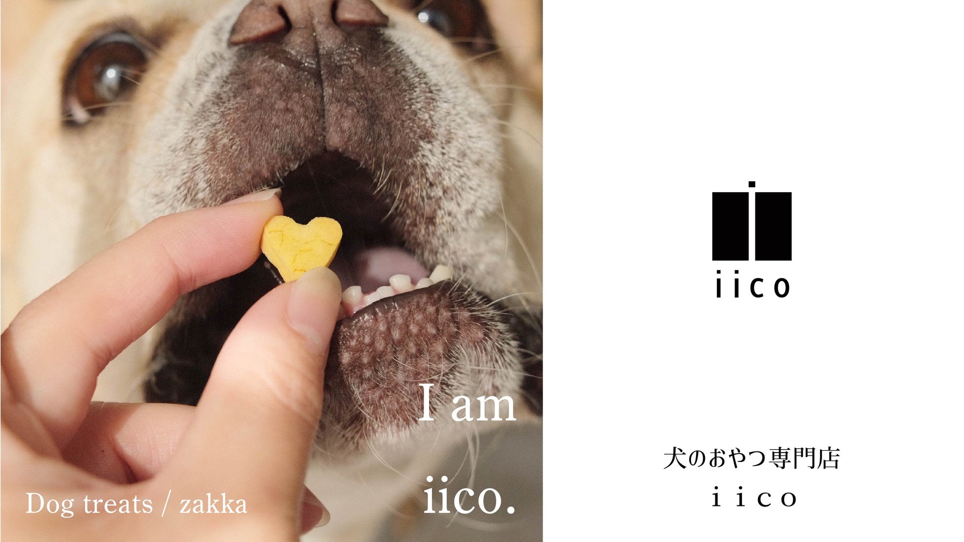 iicoの犬おやつは「雑貨」から「食品」へ。犬も人も一緒に楽しめるおやつを世田谷発のスペシャルティコーヒーと共に。のサブ画像7_iico