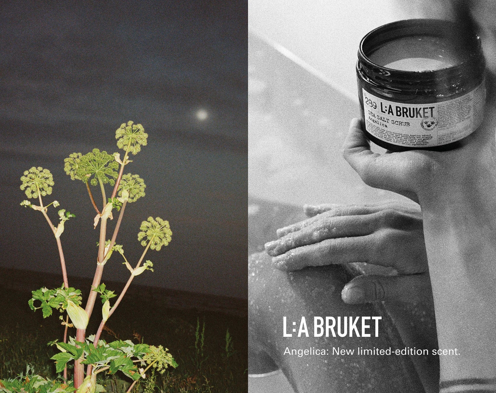 【L:A BRUKET（ラ ブルケット）】創業15周年を記念して新作「アンジェリカ」コレクションがデビュー。バーニーズ　ニューヨーク全店でPOP-UPを開催。のサブ画像1
