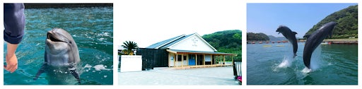 地産地消の旬の素材にこだわった心と体を内面から癒すカフェ「morino cafe @ ten」を、8月11日壱岐島にオープンのサブ画像4