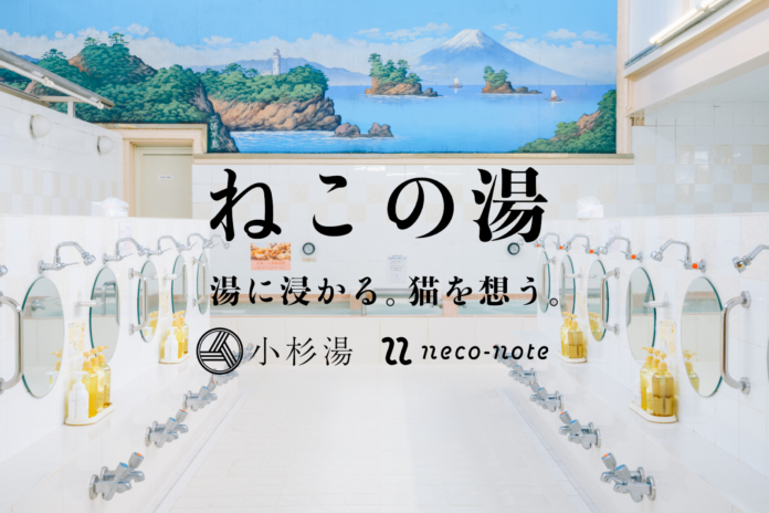 猫の推し活サービス「neco-note」が高円寺の銭湯「小杉湯」とコラボ湯を開催！〜湯に浸かる。猫を想う。「ねこの湯」〜のメイン画像