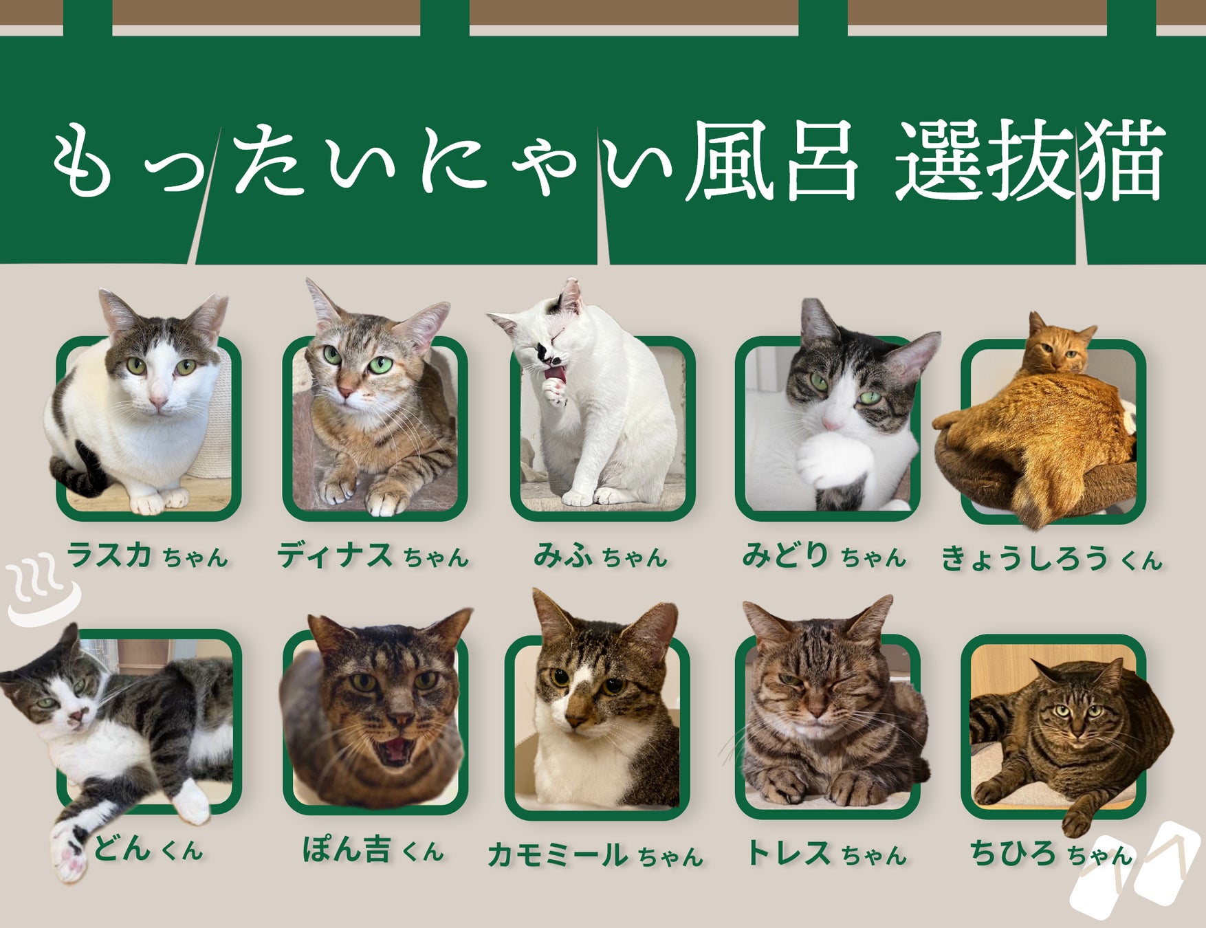 ​​お風呂に浸かるだけで、猫助け。動物愛護週間に、高円寺の銭湯「小杉湯」と猫の推し活サービス「neco-note」がコラボした「もったいにゃい風呂」を開催のサブ画像3
