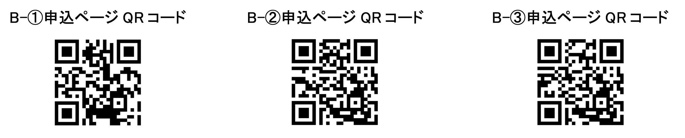 川崎市市制100周年、川崎から「まち」と「社会」の未来を考え、広げる2日間！『Colors,Future!Summit 2024』を開催のサブ画像12