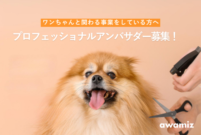 ＜プロ限定犬用シャンプーawamizアンバサダー募集＞ウルトラファインバブルを使ったawamizを大切なワンちゃんのためにのメイン画像