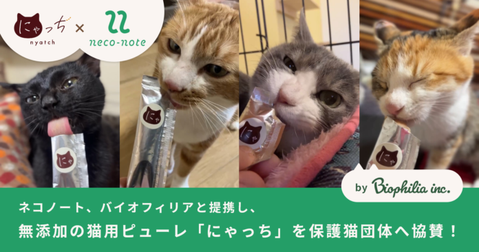 「猫の日」直前！保護猫の推し活ネコノート、バイオフィリアと提携し、無添加の猫用ピューレ「にゃっち」を保護猫団体へ協賛！のメイン画像