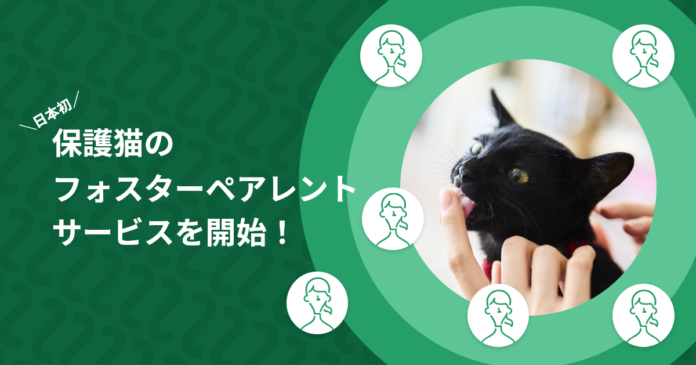 誰でも猫を飼える時代に！？保護猫の推し活「ネコノート」が、日本初の保護猫フォスターペアレント（養親）マッチングサービス「ネコノートペアレント」をスタート！クラウドファンディングも同時にスタートします！のメイン画像