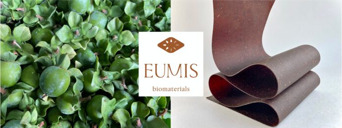 【日本初】レザーに代わる生分解可能な100%植物性の循環型新素材 “EUMIS skin” 誕生のメイン画像
